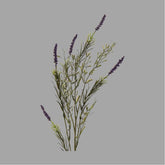 Liláskék színű, mezei levendula művirág.